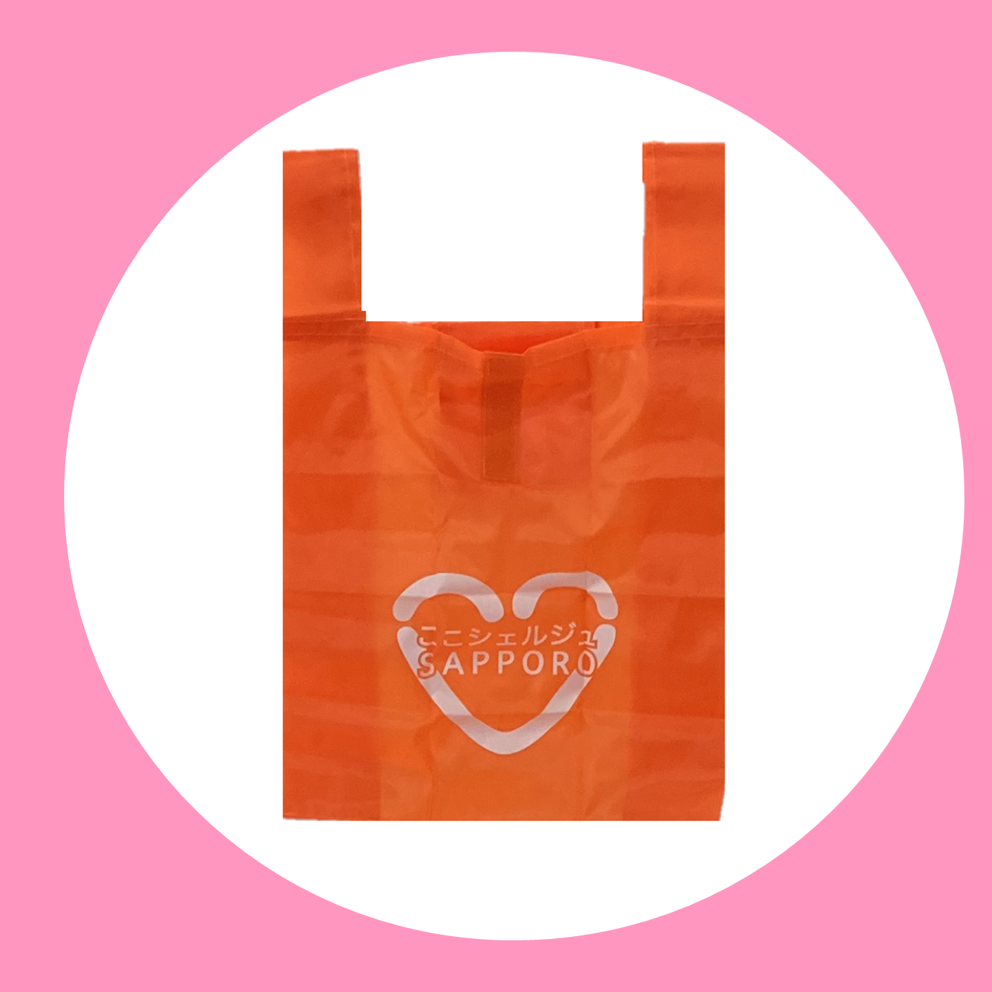 写真：ここシェルジュSAPPORO専任カウンセラー